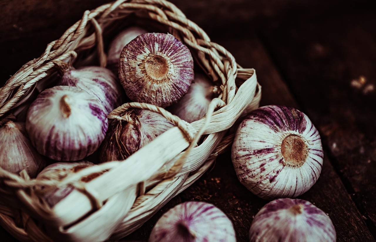 Best Tips for Growing Garlic in Your Garden